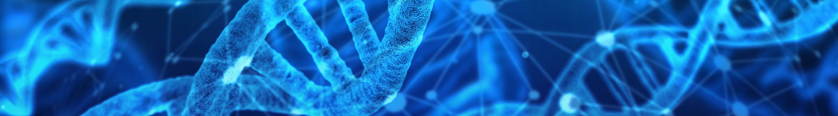 Supportive alchemical process, through daily use of the Elixir and Spray aligns you with your soul's highest purpose