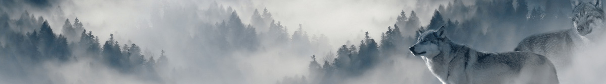 Soul Evolution through Spiritual Response Therapy, Elixir and Spray, Distant Healing and Ongoing Support