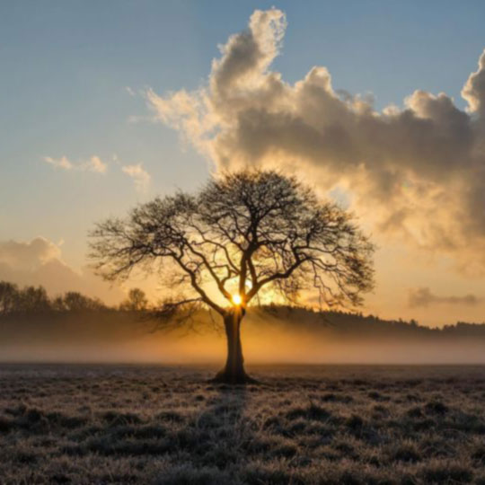 Accepting the reality of our human frailty: that we are all flawed. Cultivating compassion towards our perceived failings allows us to build a resilient emotional intelligence, expanding our understanding and acceptance for all of life.